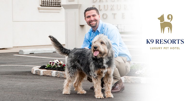 K9 Resorts Luxury Pet Hotel Scotch Plains - Fanwood (Original Location) - Dog-Friendly Establishment in Fanwood, NJ | Indoor Dog Park