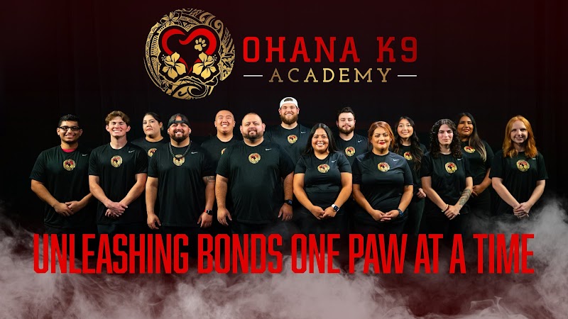 Ohana K9 Academy - Dog Training, Boarding & Dog Daycare - Dog Park in Fresno, CA