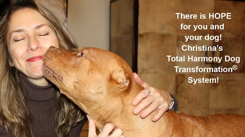 Glendale, NY - Dog Parks Directory