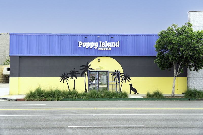 Puppy Island Care & Spa - Dog Park in Glendale, CA | Indoor Dog Park