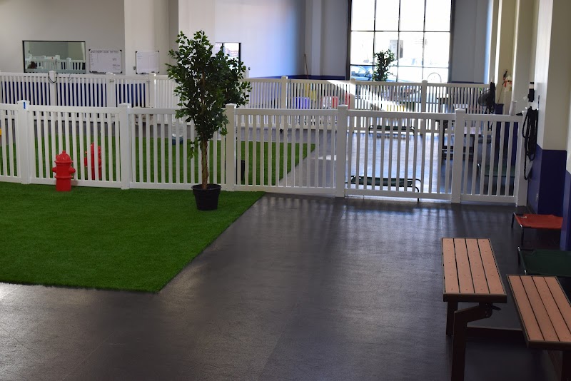 The Hounds Club - Dog Park in Glendale, CA | Indoor Dog Park