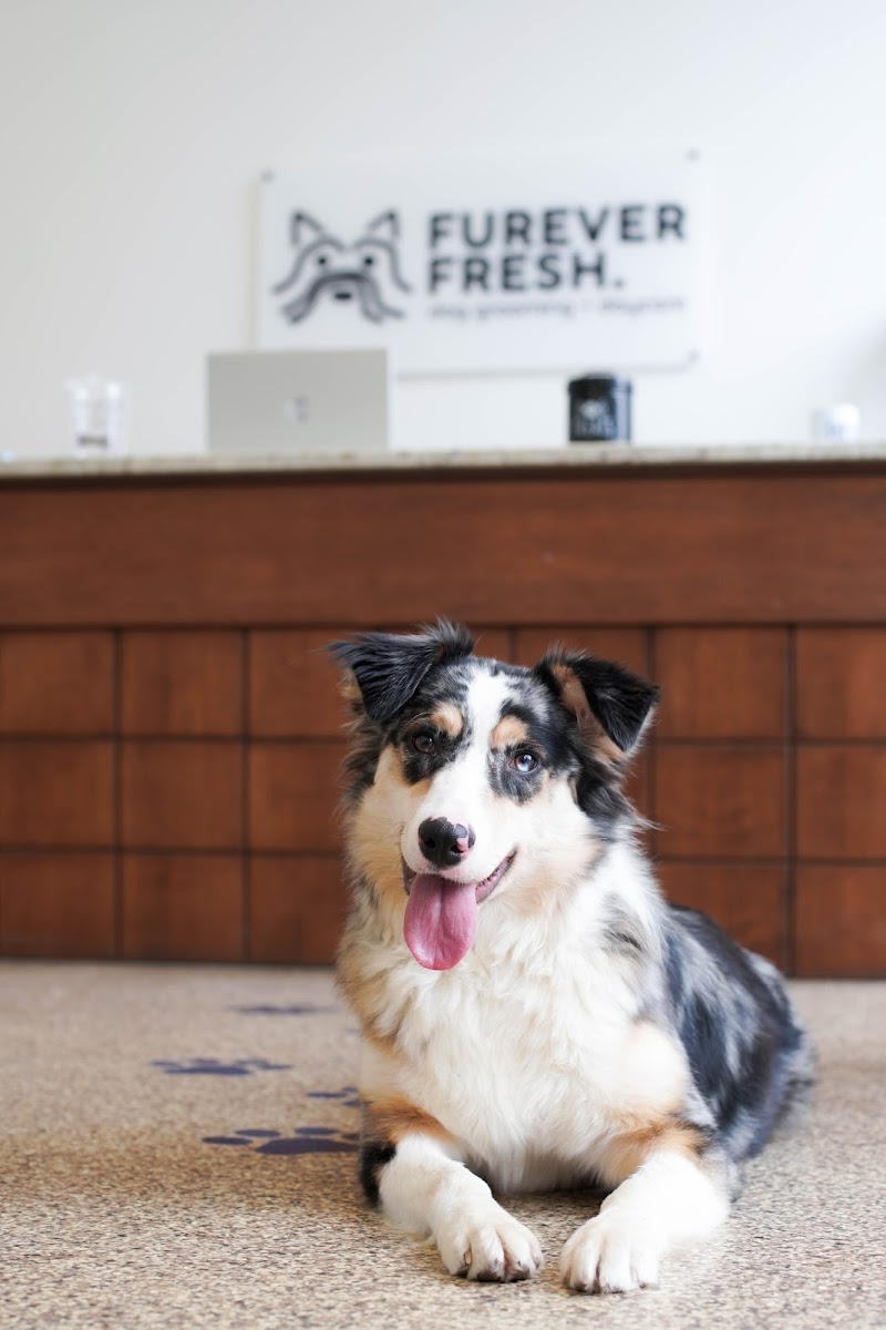 Jersey City, NJ - Dog Parks Directory