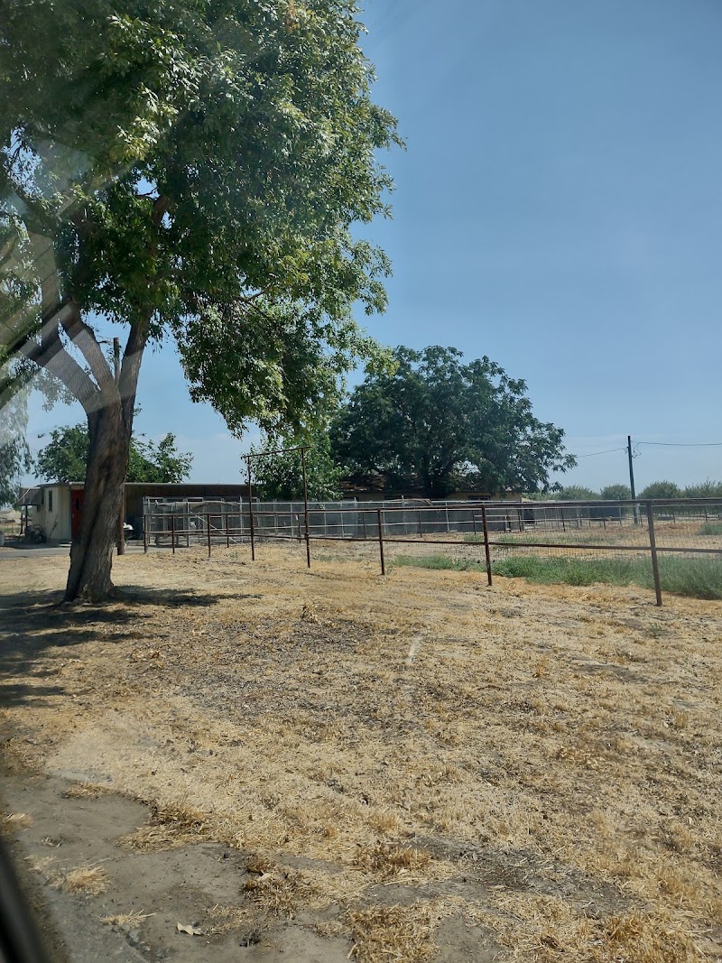 AJ Country Kennel - Dog Park in Lemoore, CA | Indoor Dog Park