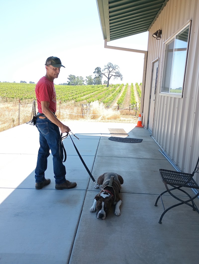 Dream Big Training Center - Dog Park in Lodi, CA | Indoor Dog Park