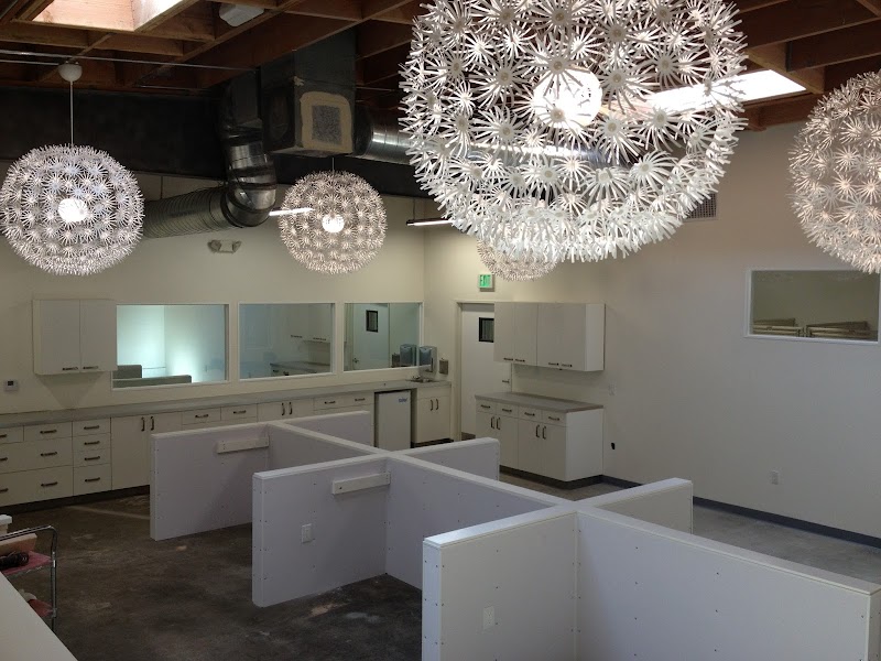 California Animal Rehabilitation - Dog Park in Los Angeles, CA | Indoor Dog Park