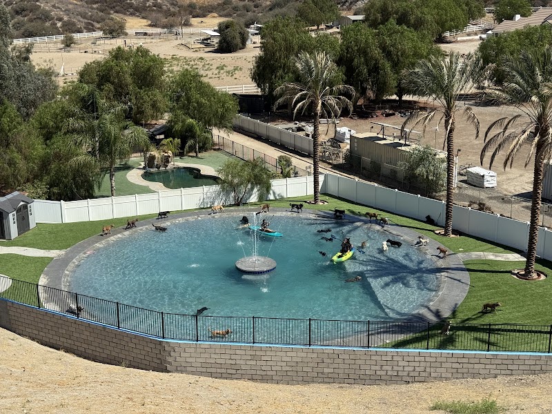 Country Dog Ranch boarding - Dog Park in Los Angeles, CA | Indoor Dog Park