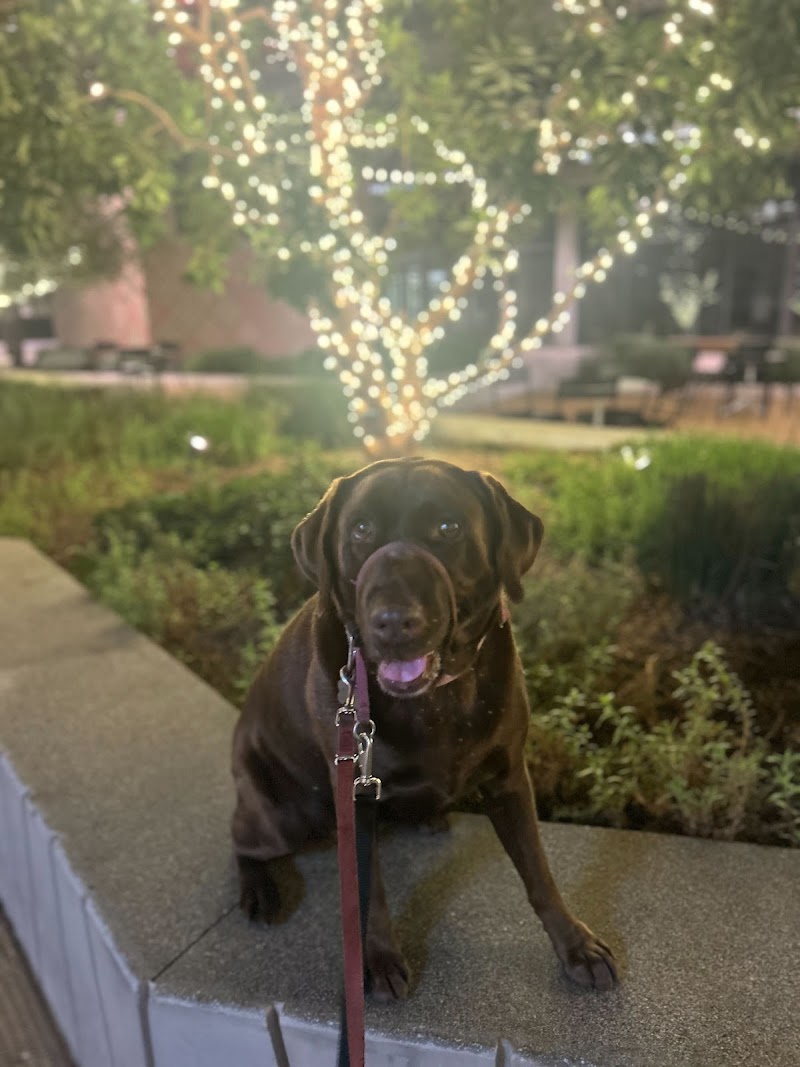 Dog parks in Los Angeles, CA