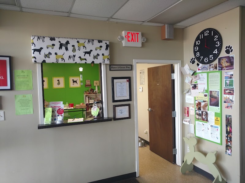 Dog School 101, Inc. photo 3