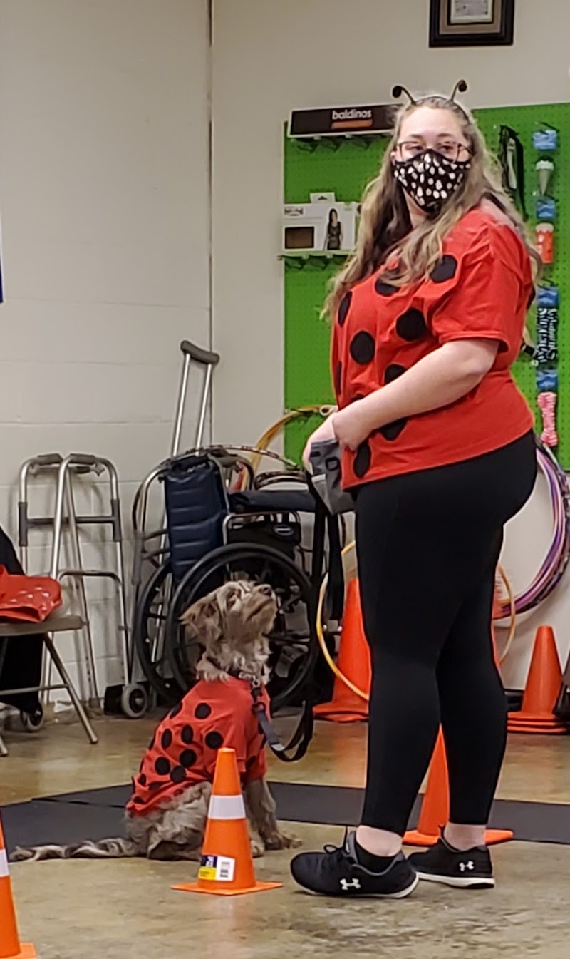 Dog School 101, Inc. photo 4