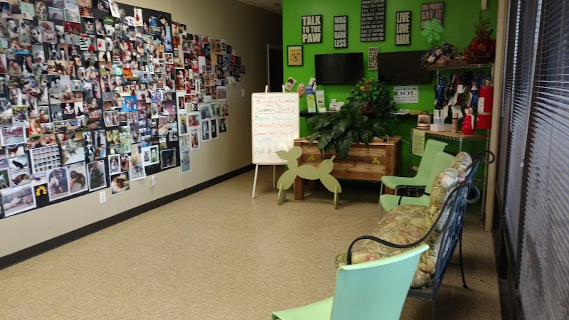 Dog School 101, Inc. - Dog Park in Marietta, GA | Indoor Dog Park