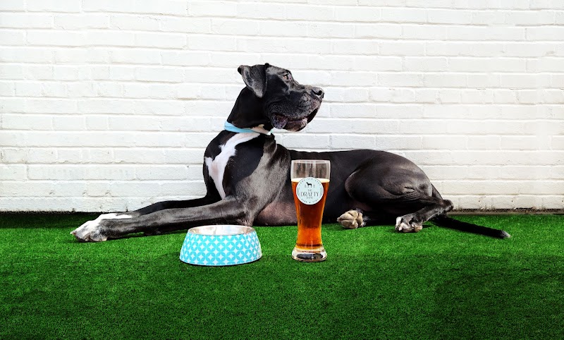 The Drafty Dane photo 2