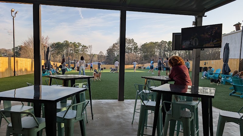 The Drafty Dane photo 5