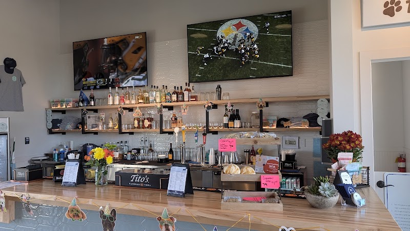 The Drafty Dane - Dog-Friendly Establishment in Marietta, GA | Indoor Dog Park