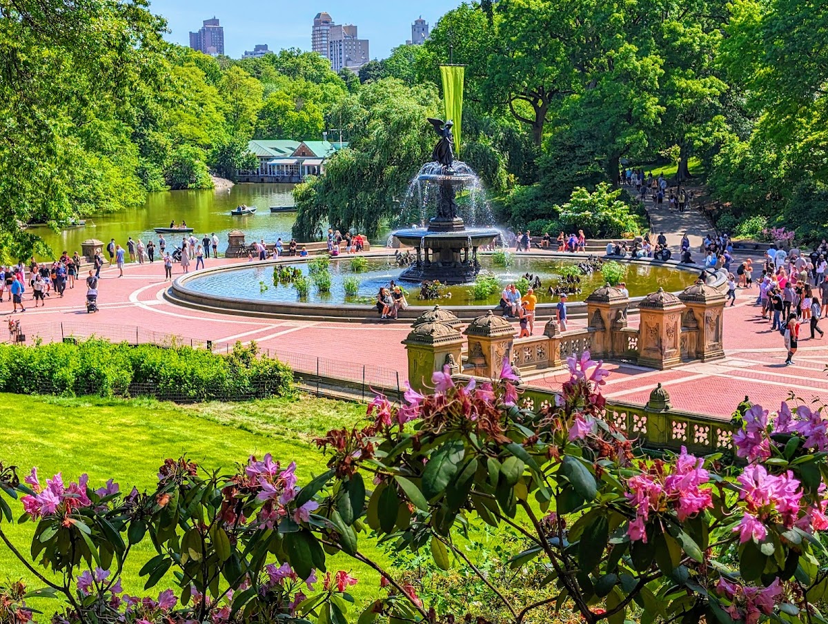 Central Park photo 5