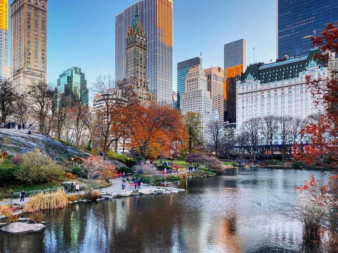 Central Park - Dog Park in New York, NY | Indoor Dog Park