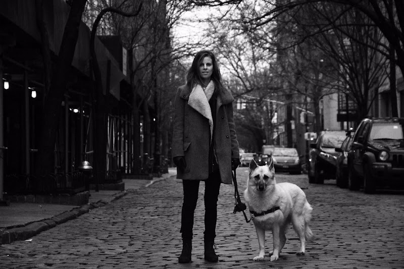 Dapper Dog Training photo 2