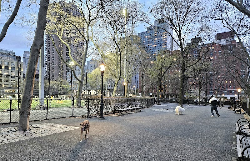 De Witt Clinton Dog Run photo 2