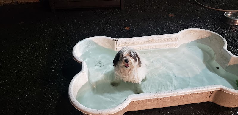 De Witt Clinton Dog Run photo 3