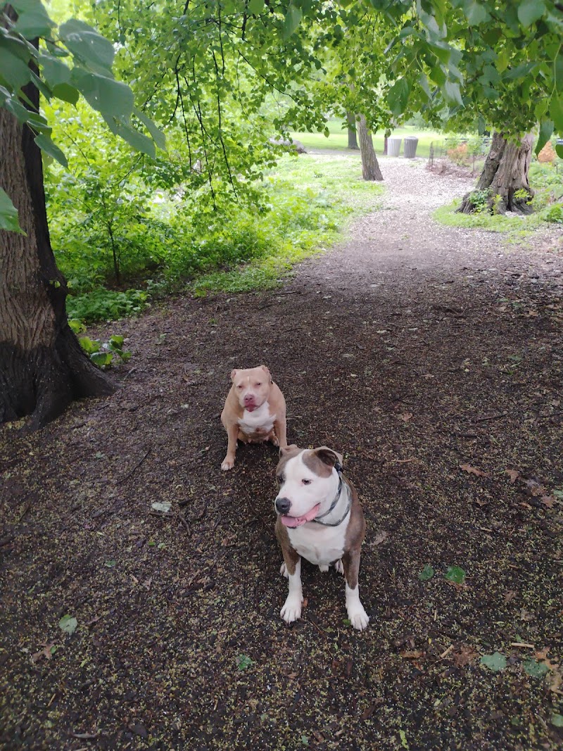 De Witt Clinton Dog Run photo 4