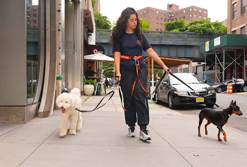 Dog City NYC (W27) photo 1