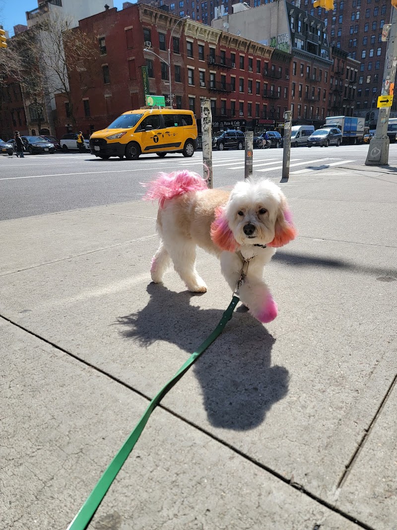 Dog City NYC (W27) photo 2