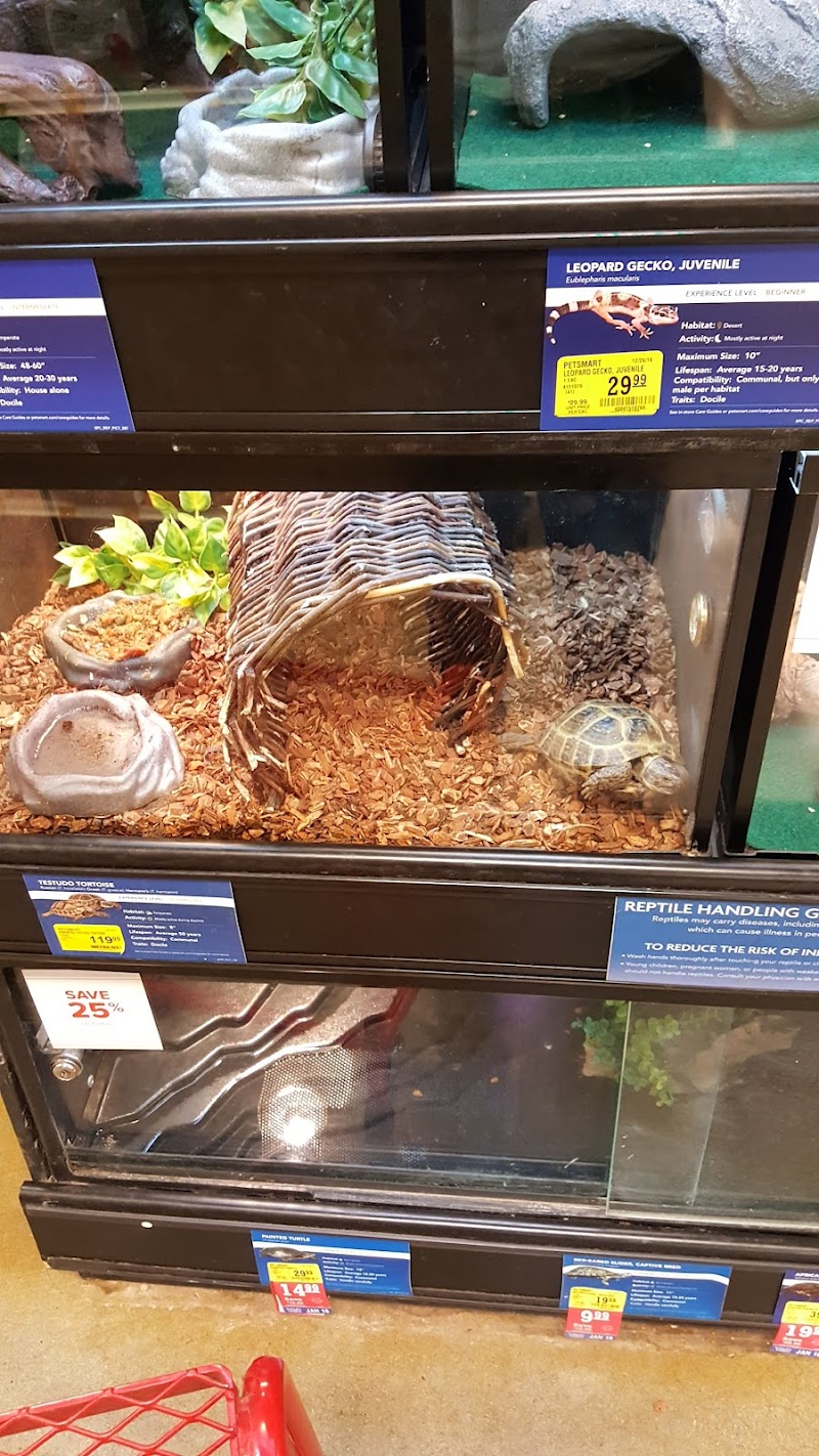 PetSmart photo 4