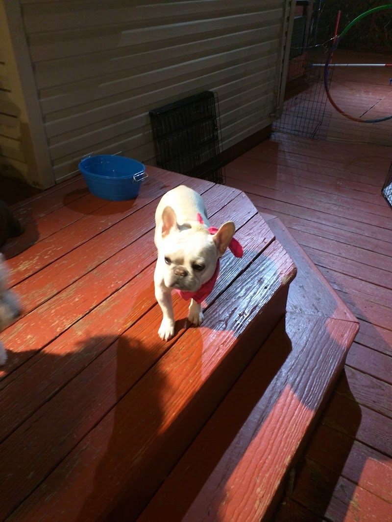 StayPlayNTrain photo 2