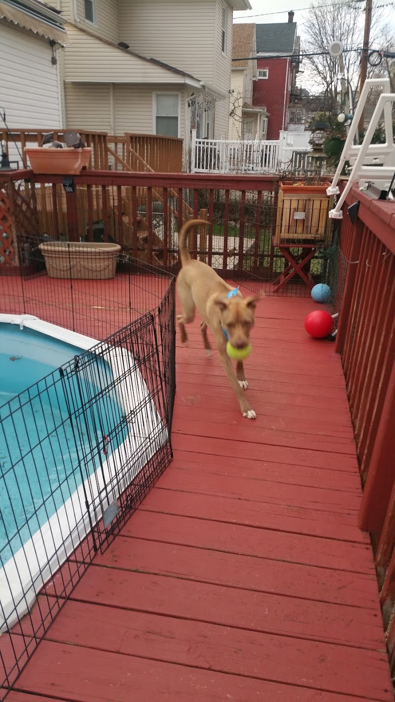 StayPlayNTrain photo 4