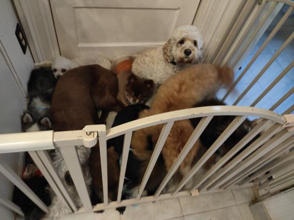 StayPlayNTrain photo 5