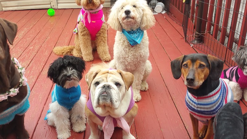 North Bergen, NJ - Dog Parks Directory