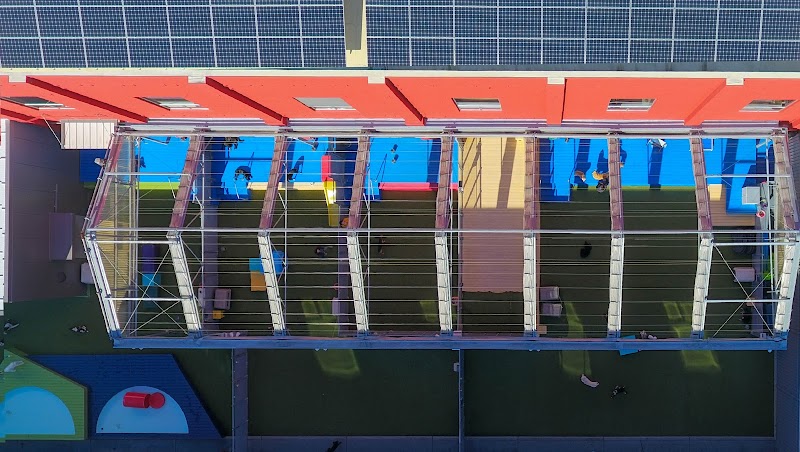 The Dog Social Club Cooperative - Dog Park in Oakland, CA | Indoor Dog Park