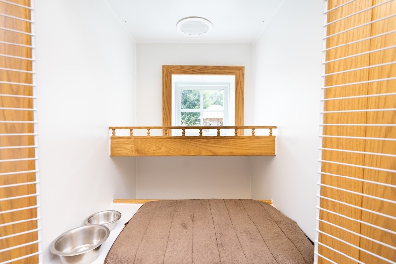 PetSuites Roswell photo 3