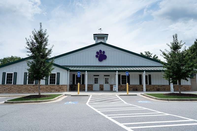 PetSuites Roswell - Dog-Friendly Establishment in Roswell, GA | Indoor Dog Park