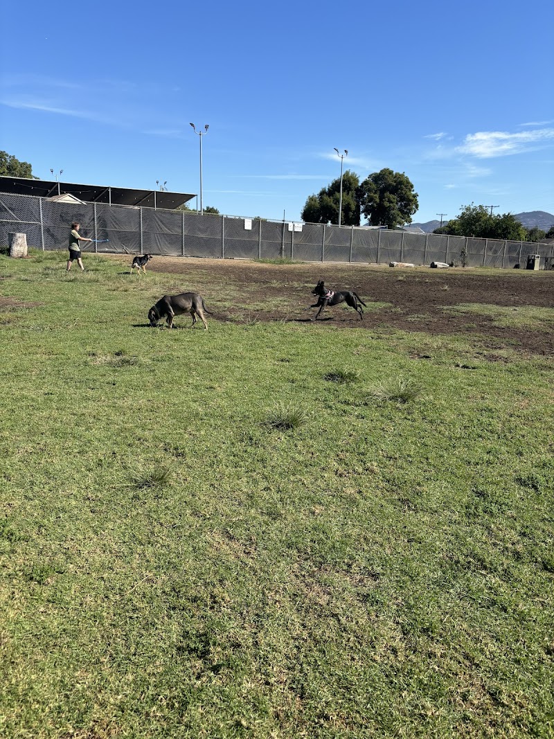 Allied Gardens Dog Park - Dog Park in San Diego, CA | Indoor Dog Park