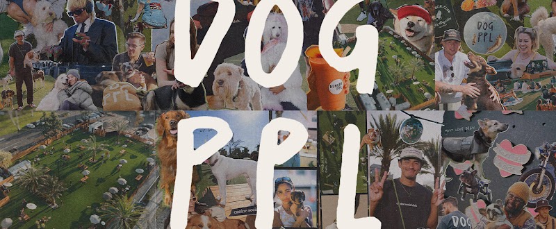 DOG PPL - Dog-Friendly Establishment in Santa Monica, CA | Indoor Dog Park