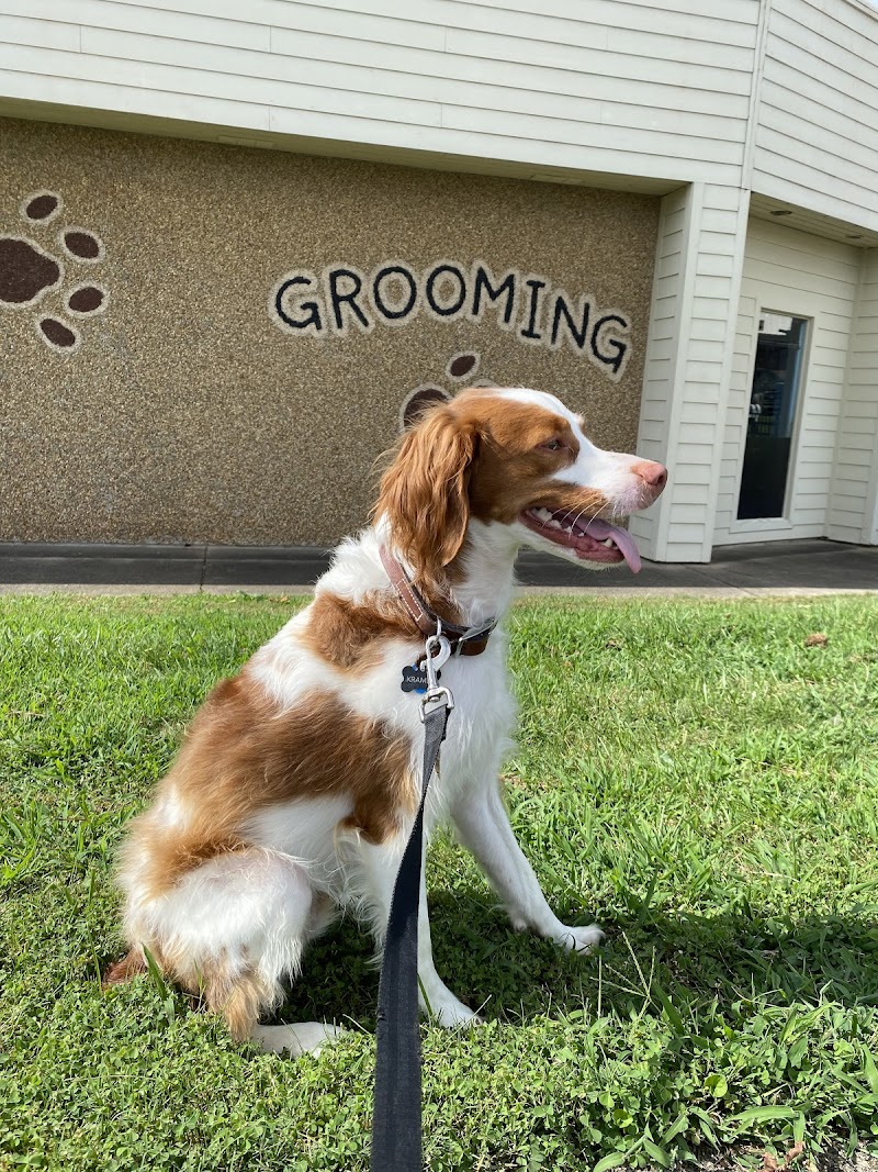 Bark, Play & Stay photo 5