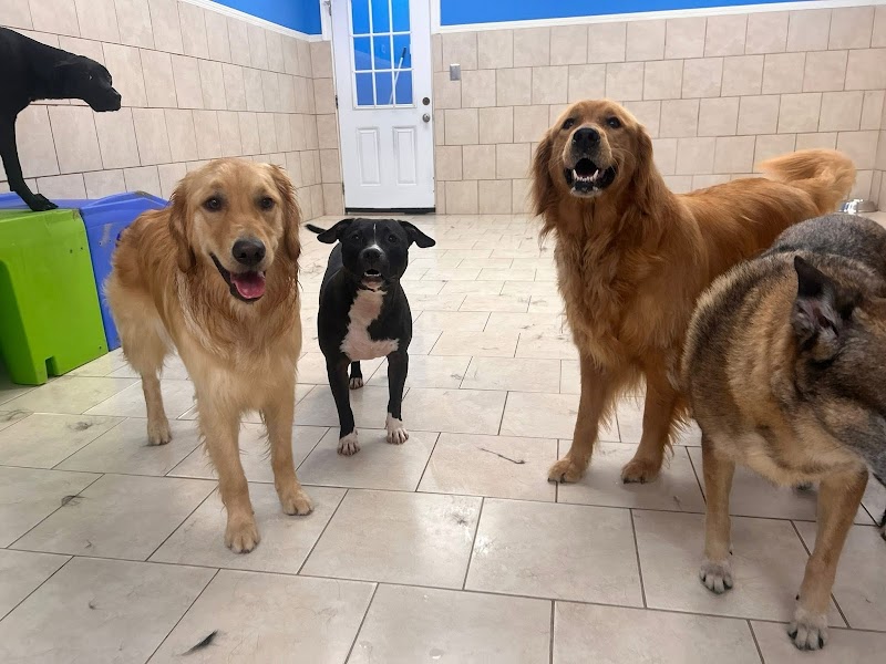 Stone Mountain, GA - Dog Parks Directory