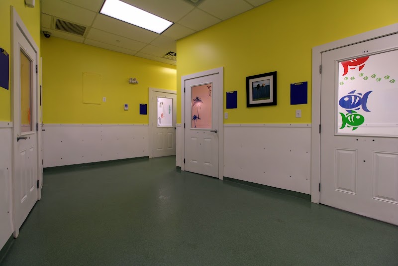 Paws & Play Pet Resort and Training Center photo 2