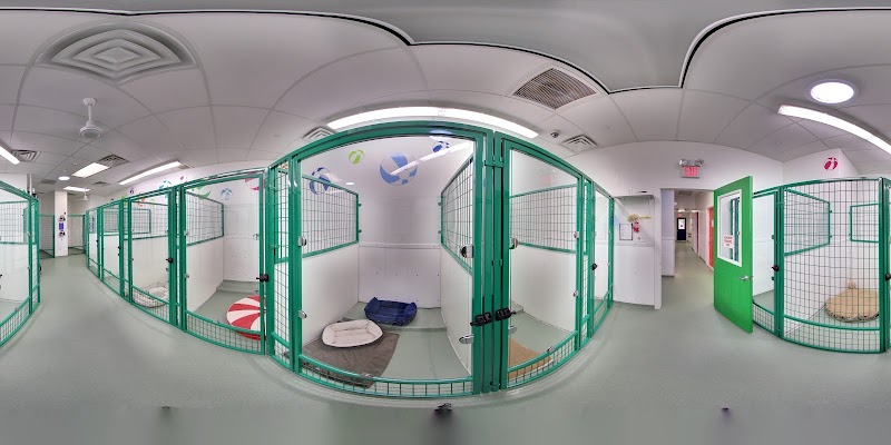 Paws & Play Pet Resort and Training Center - Dog-Friendly Establishment in Tuckahoe, NY | Indoor Dog Park