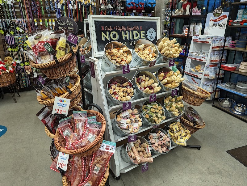 All The Best Pet Care - Kirkland photo 2