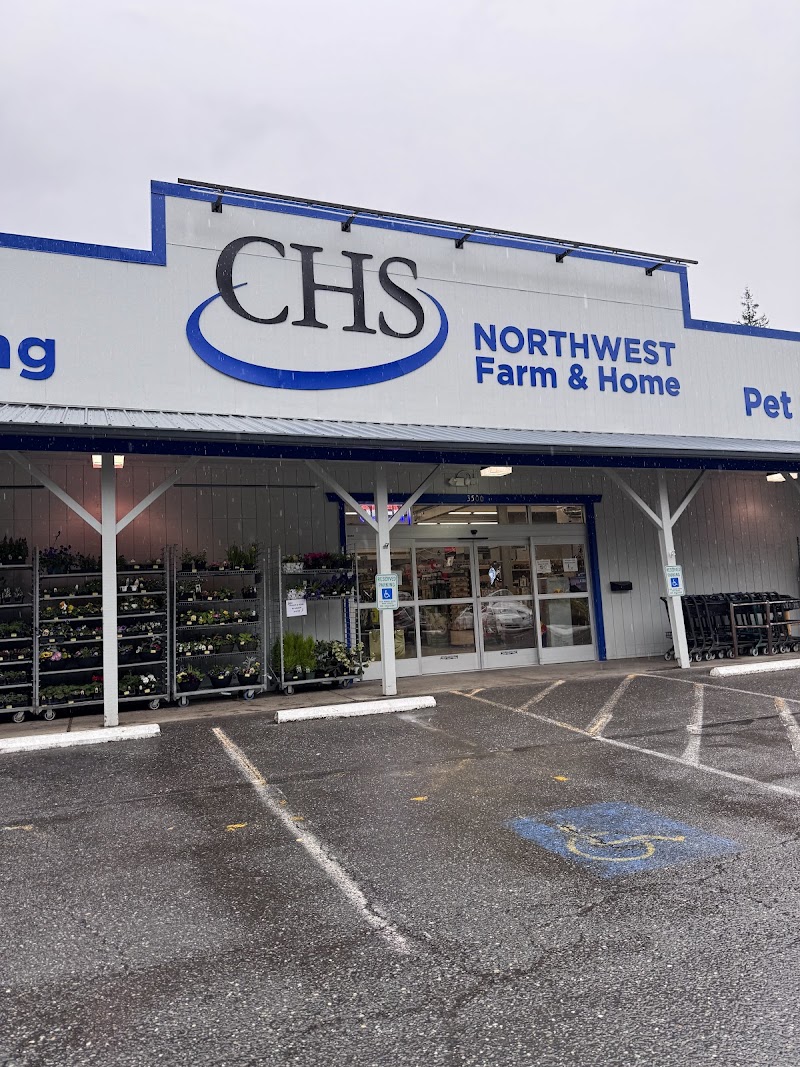 Dog parks in Bellingham, WA