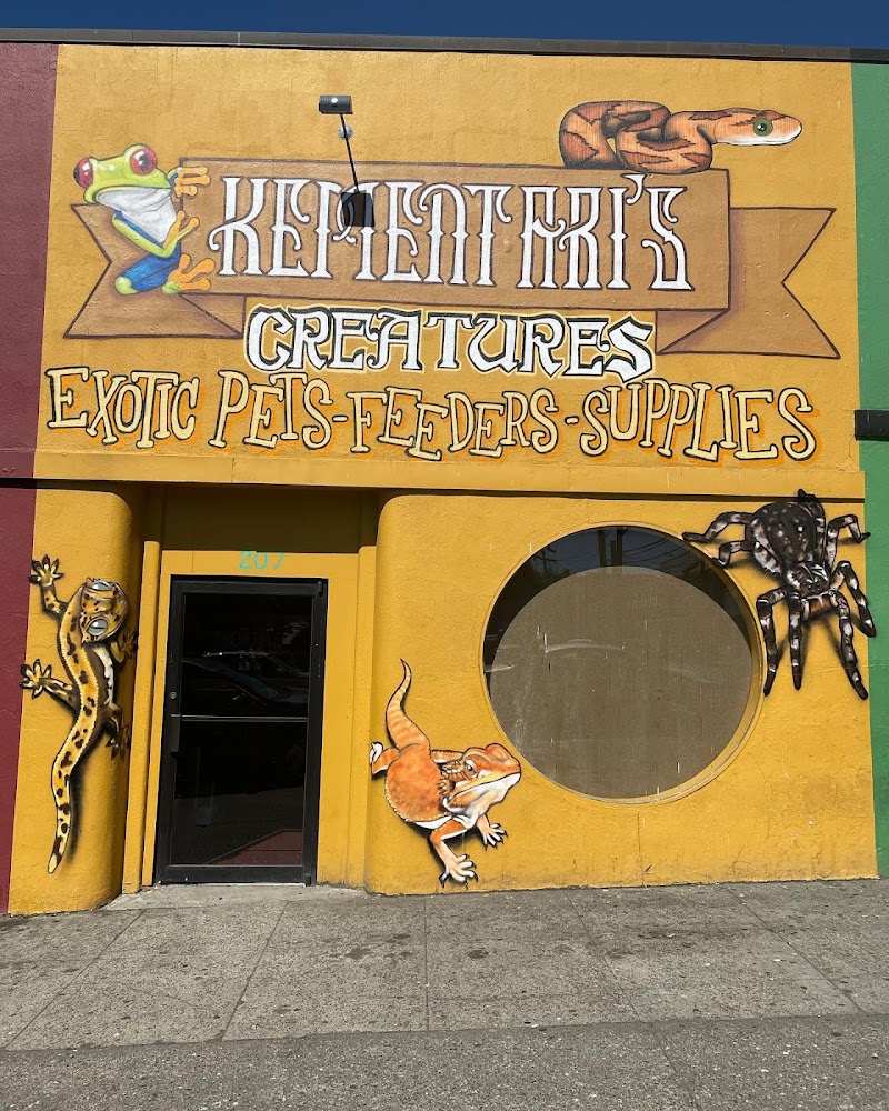 Kementari's Creatures Bellingham - Indoor Dog Park in Bellingham, WA | Indoor Dog Park