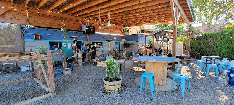 Paws For A Beer - Indoor Dog Park in Bellingham, WA | Indoor Dog Park