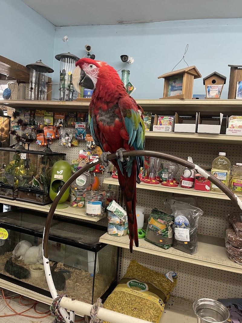 Midway Tropical Fish & Pets photo 2