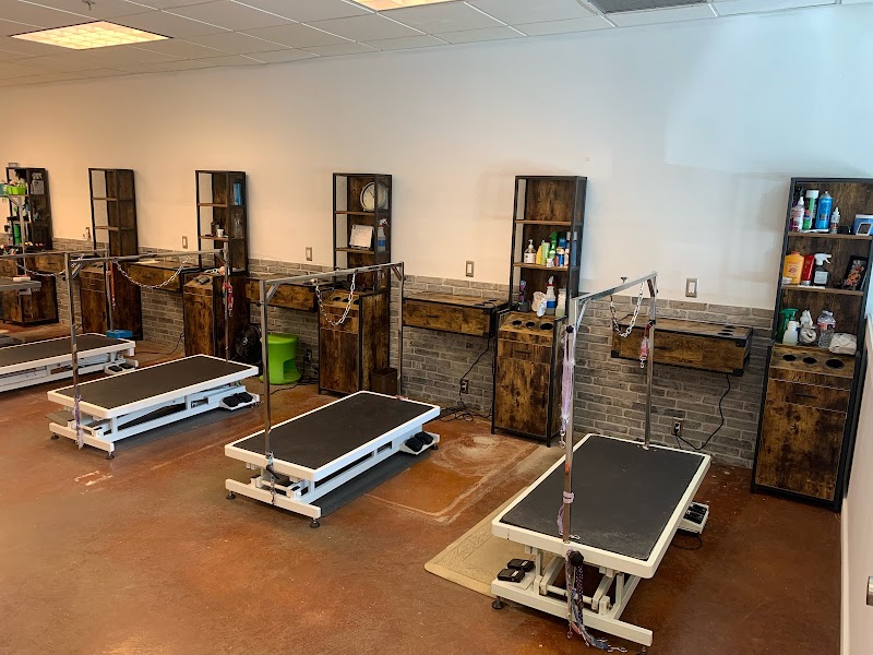 PupScrub - Indoor Dog Park in Kirkland, WA | Indoor Dog Park