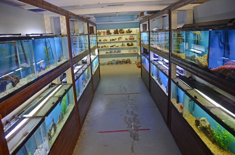 Aquarium Paradise photo 3