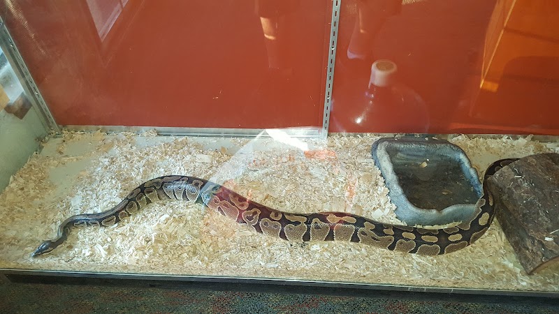 Dragons Den Reptile and Pet photo 2