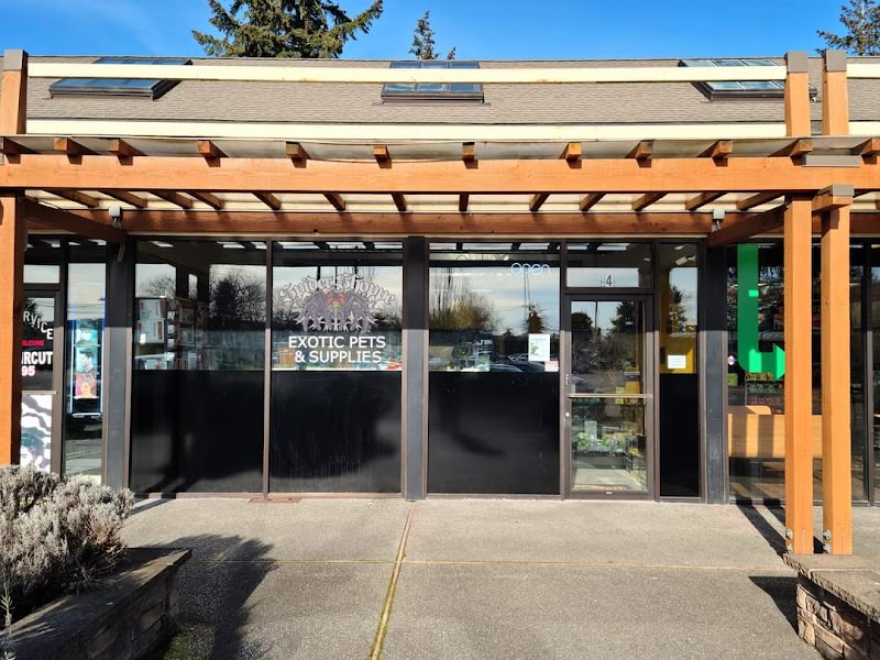 Spider Shoppe Exotic Pets & Supplies - Indoor Dog Park in Lakewood, WA | Indoor Dog Park