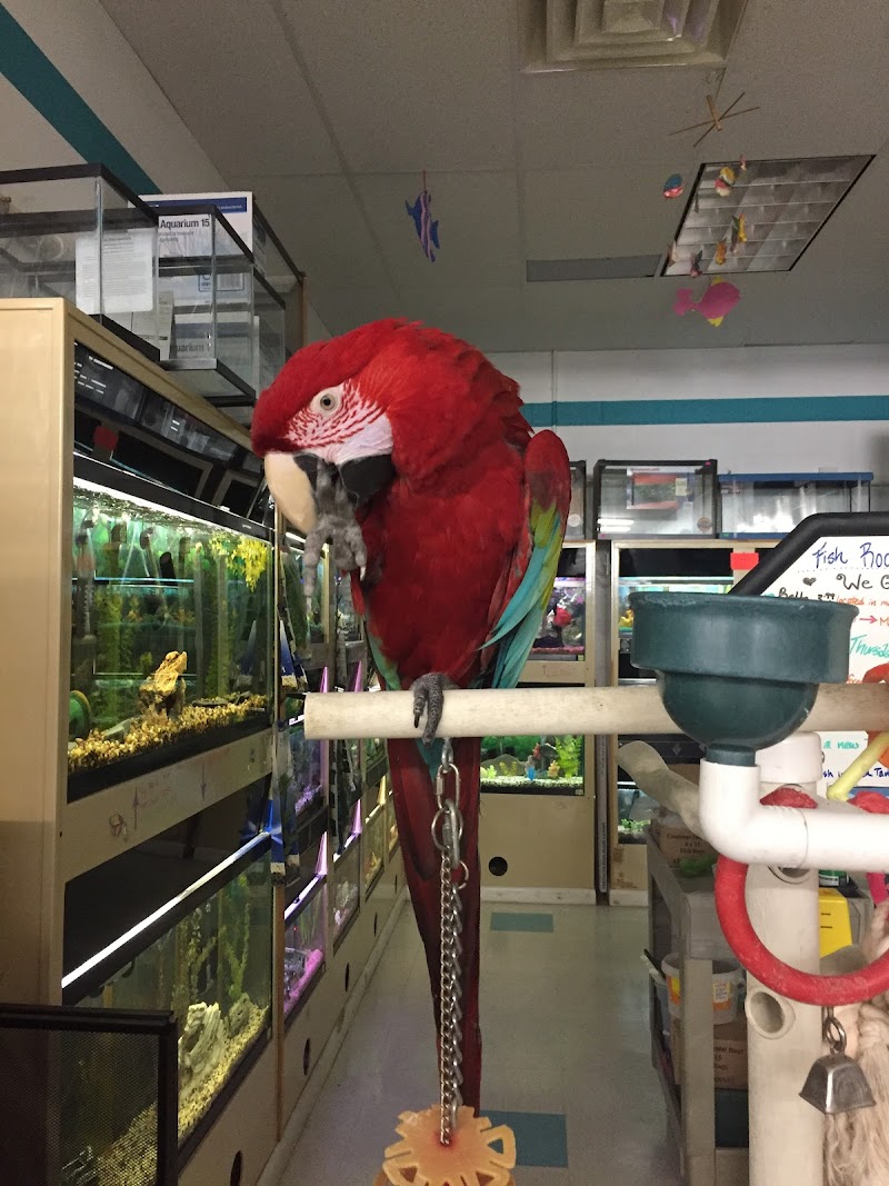 Classic Pet Supply II photo 2