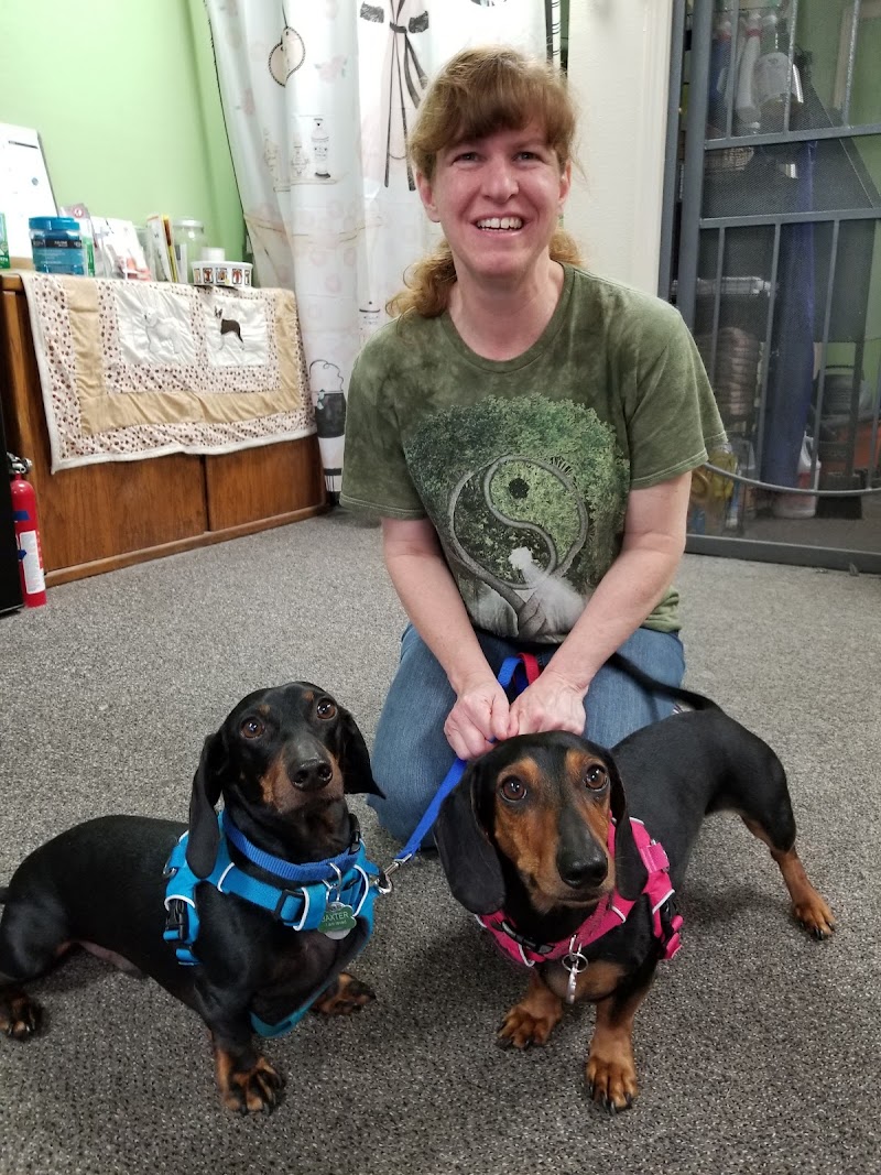 crystal clean pups photo 3